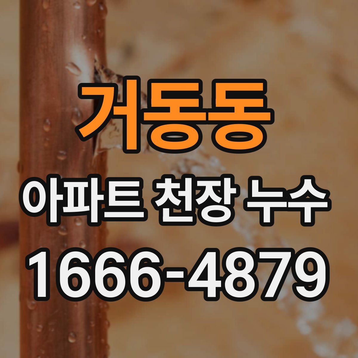 거동동 아파트 천장 누수