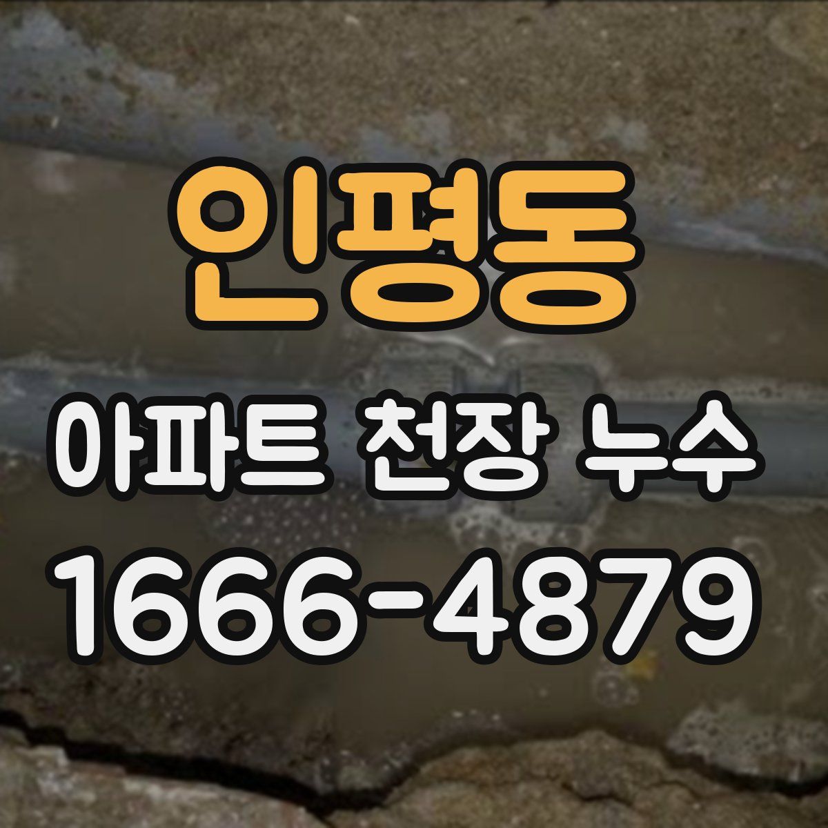 인평동 아파트 천장 누수