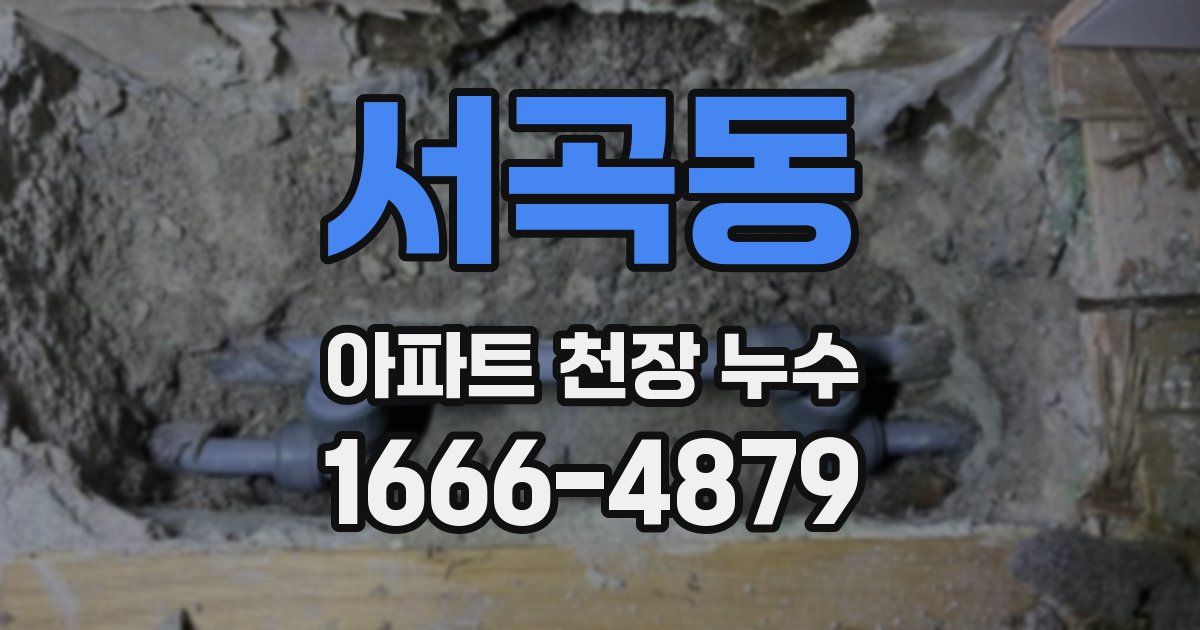 서곡동 아파트 천장 누수