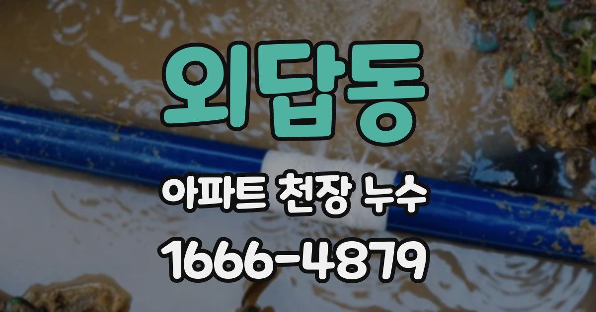 외답동 아파트 천장 누수