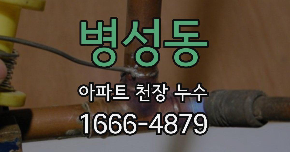 병성동 아파트 천장 누수