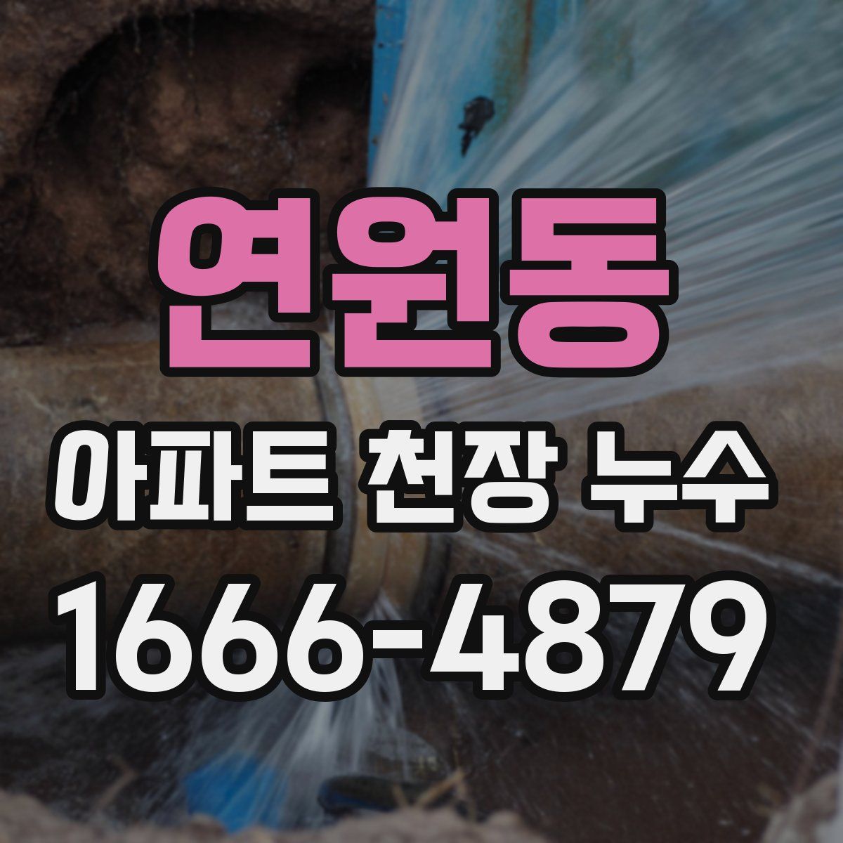 연원동 아파트 천장 누수