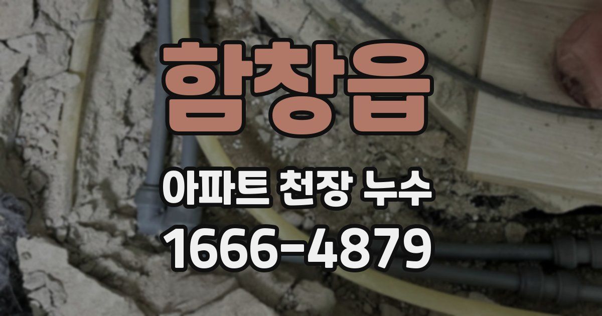 함창읍 아파트 천장 누수