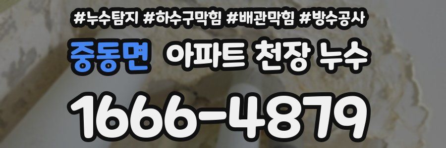 중동면 아파트 천장 누수