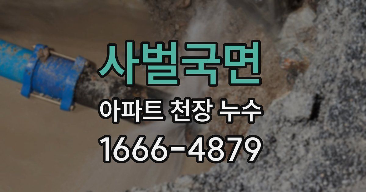 사벌국면 아파트 천장 누수