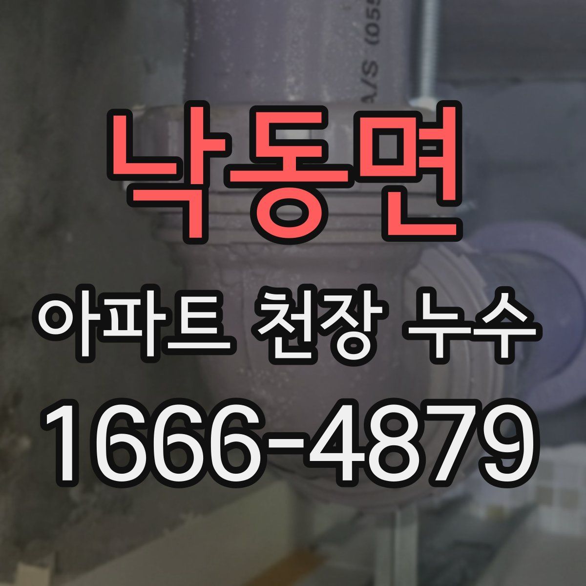 낙동면 아파트 천장 누수