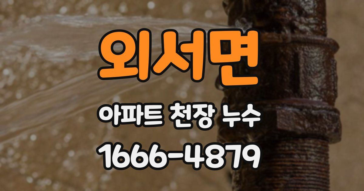 외서면 아파트 천장 누수