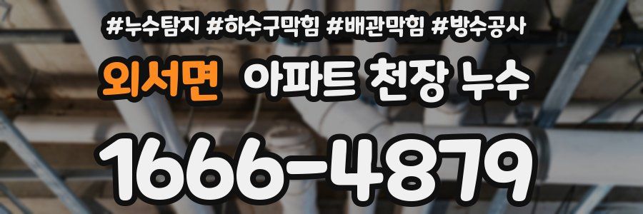 외서면 아파트 천장 누수