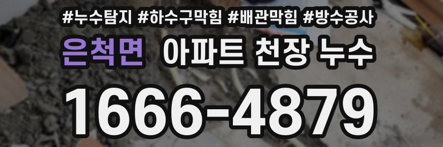 은척면 아파트 천장 누수