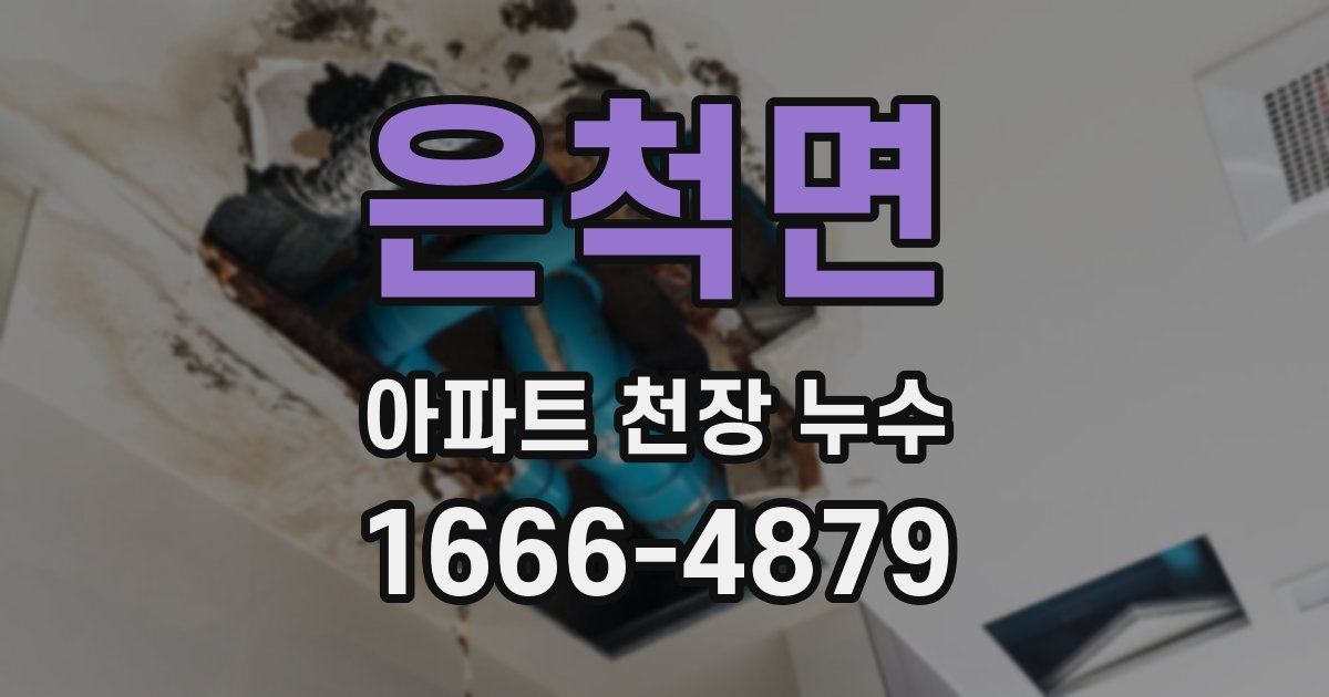 은척면 아파트 천장 누수