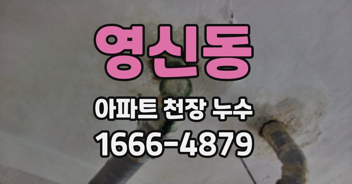 영신동 아파트 천장 누수