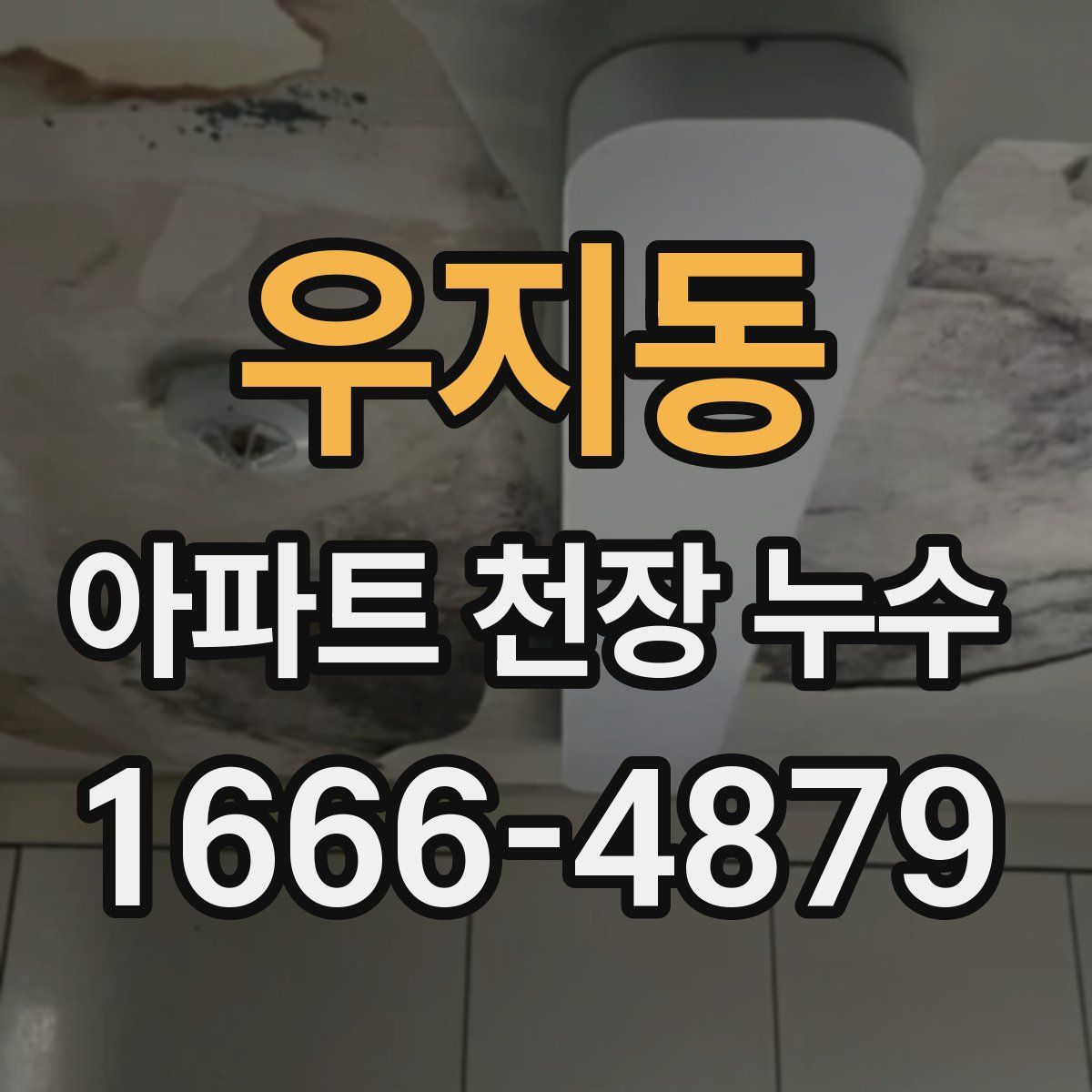 우지동 아파트 천장 누수