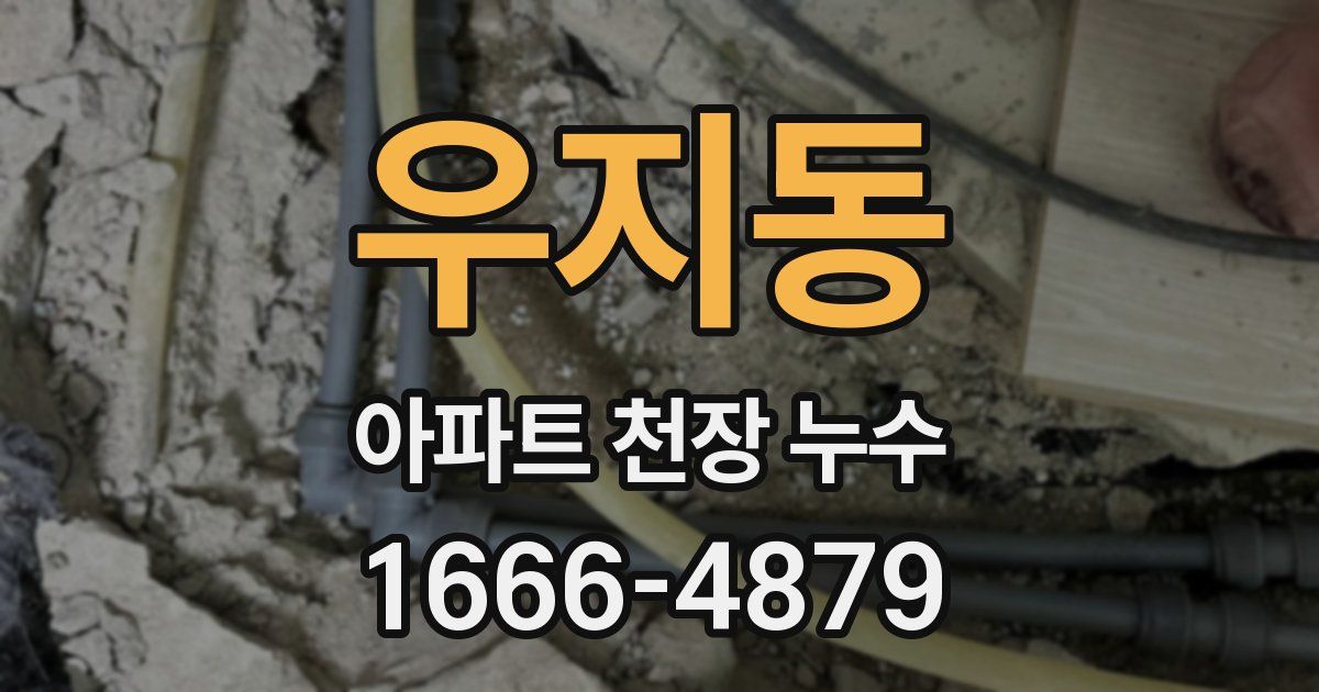 우지동 아파트 천장 누수