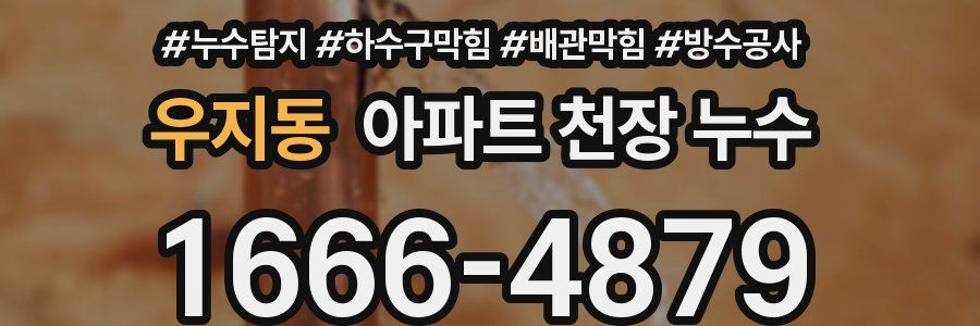우지동 아파트 천장 누수