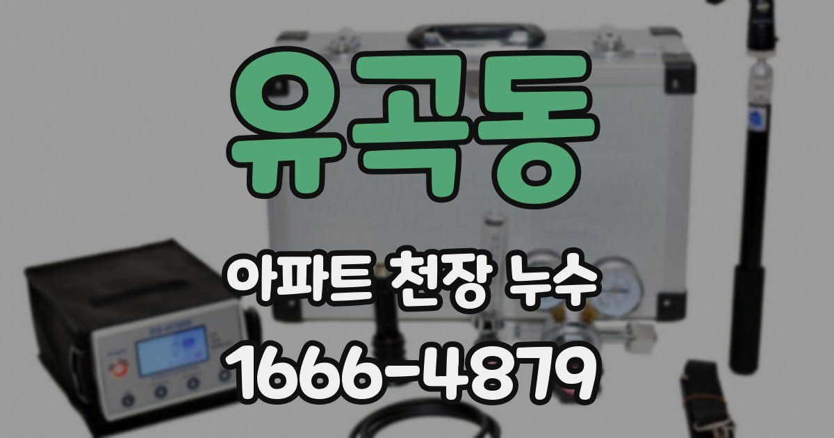 유곡동 아파트 천장 누수
