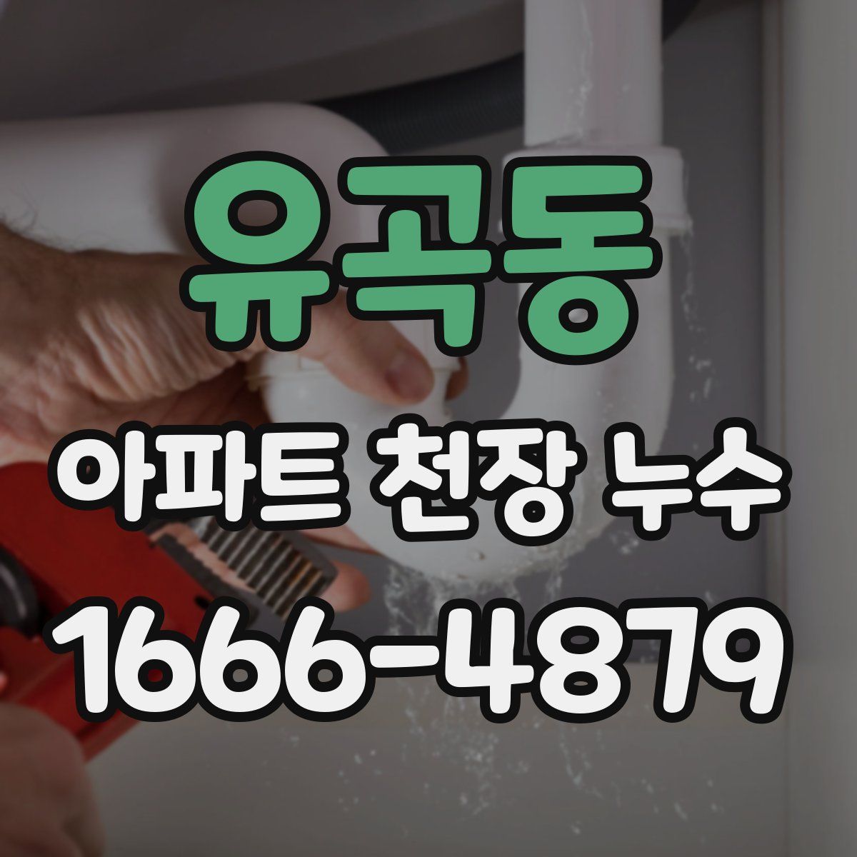 유곡동 아파트 천장 누수