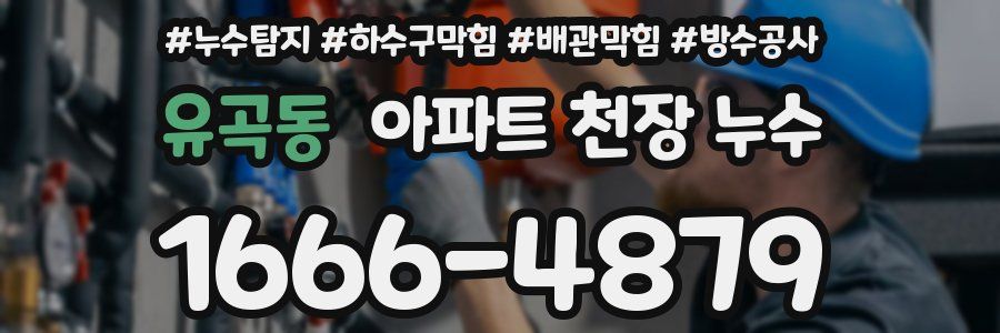 유곡동 아파트 천장 누수
