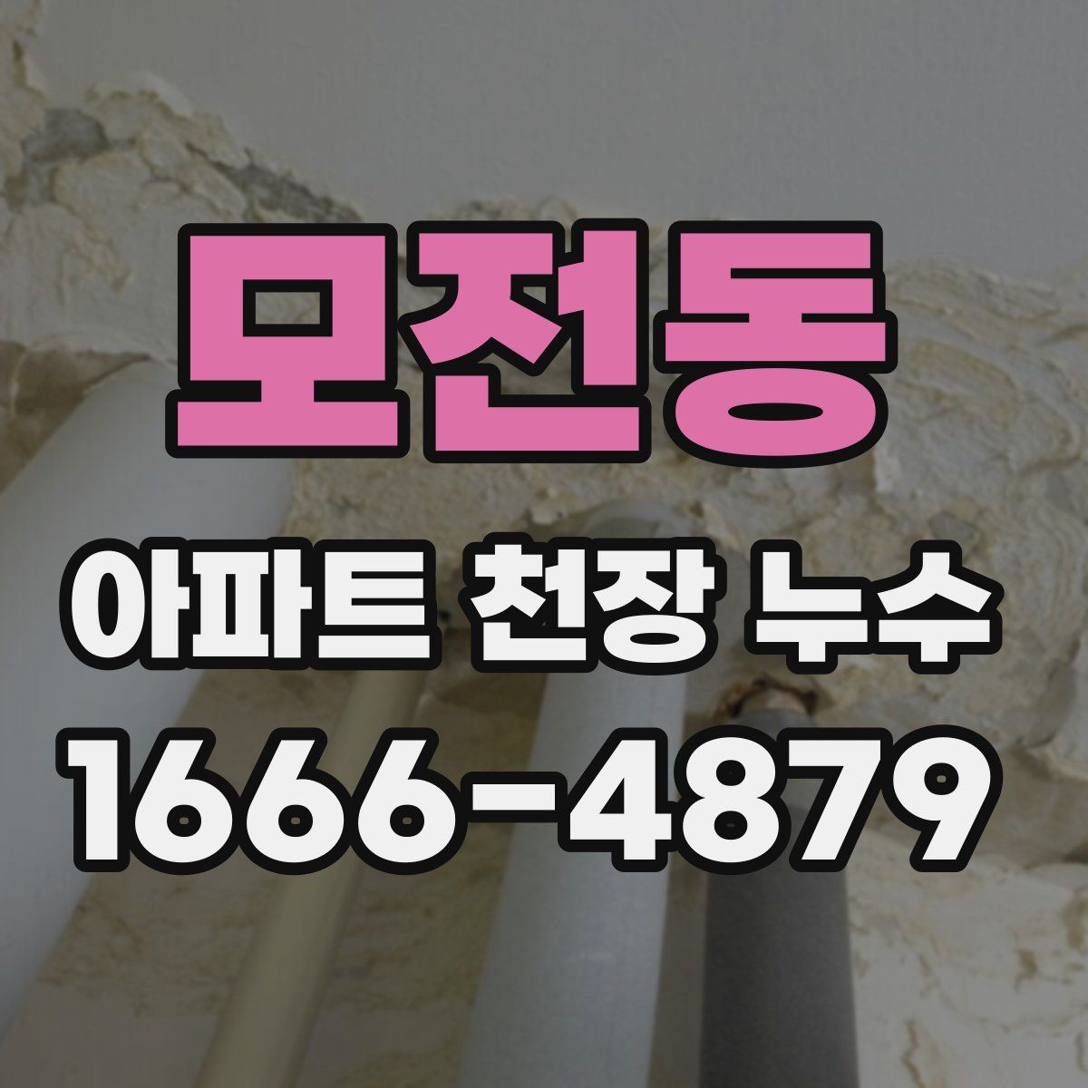 모전동 아파트 천장 누수