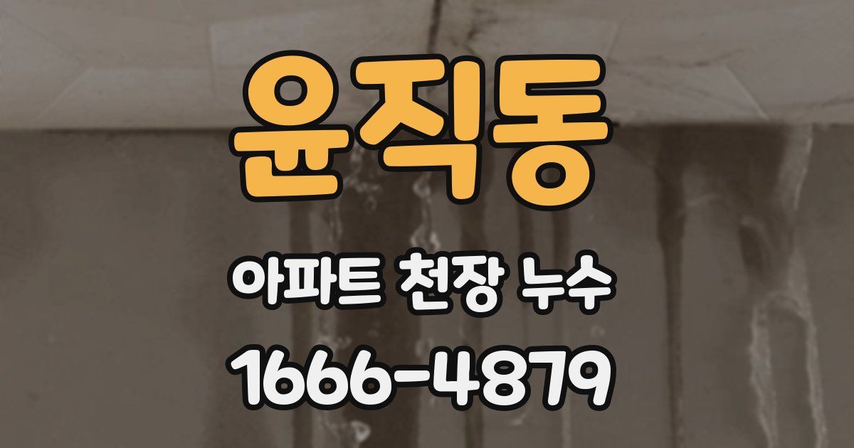 윤직동 아파트 천장 누수