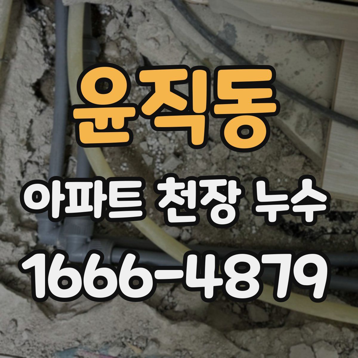 윤직동 아파트 천장 누수