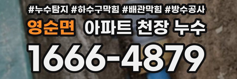 영순면 아파트 천장 누수