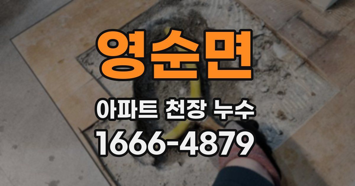 영순면 아파트 천장 누수