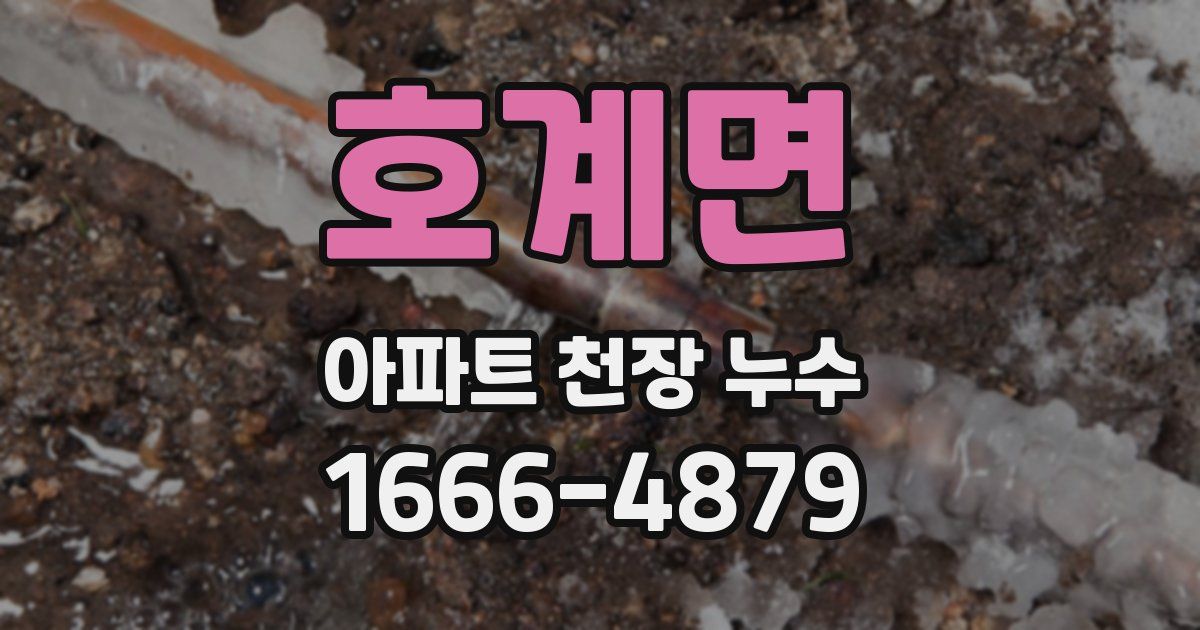 호계면 아파트 천장 누수