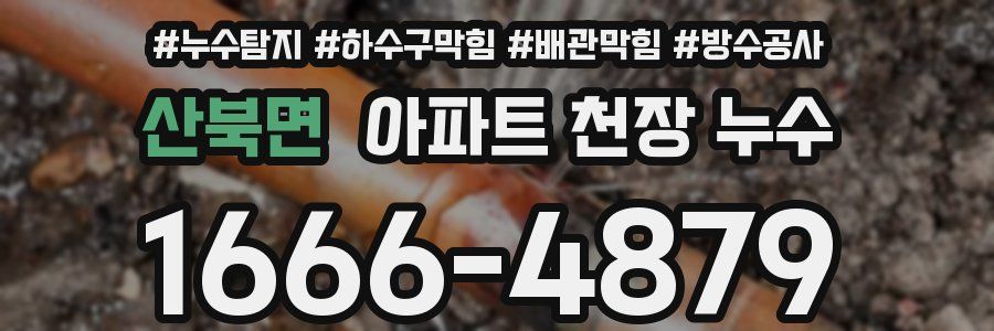 산북면 아파트 천장 누수