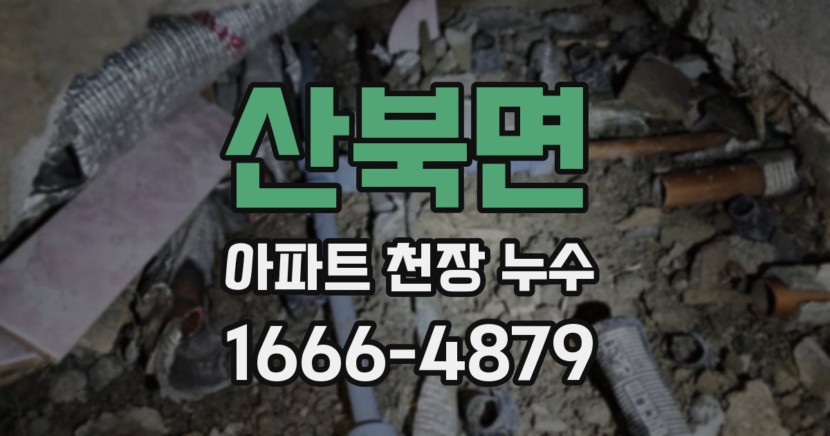 산북면 아파트 천장 누수