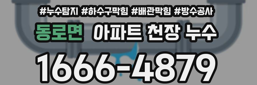 동로면 아파트 천장 누수