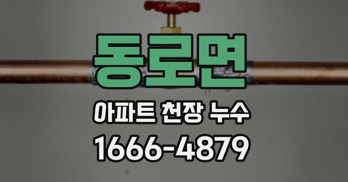 동로면 아파트 천장 누수
