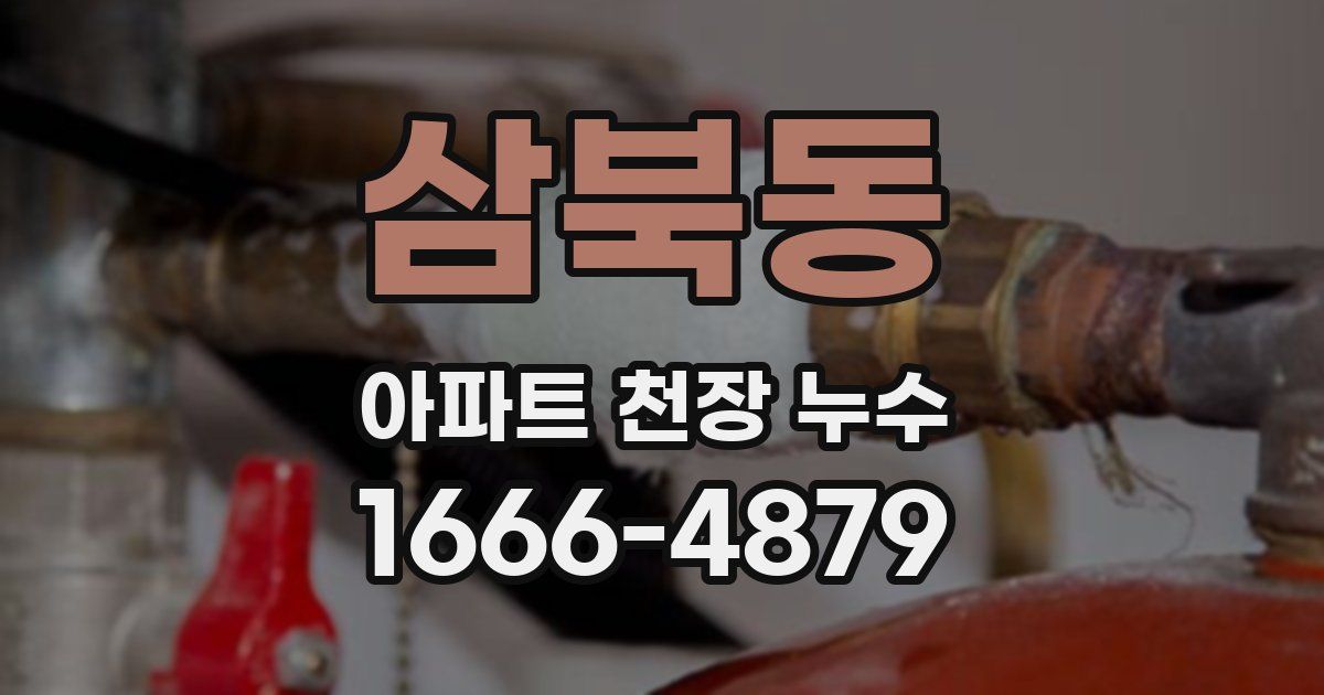 삼북동 아파트 천장 누수