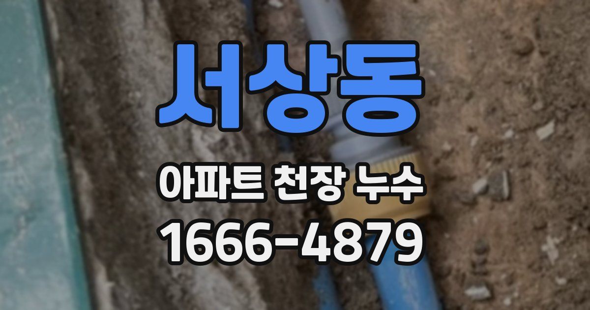 서상동 아파트 천장 누수