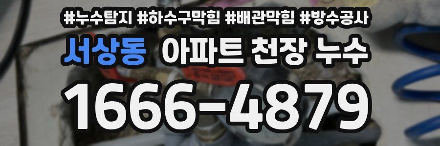 서상동 아파트 천장 누수