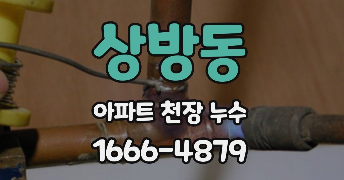 상방동 아파트 천장 누수