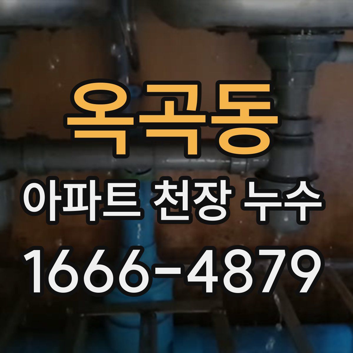 옥곡동 아파트 천장 누수