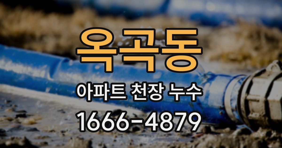 옥곡동 아파트 천장 누수