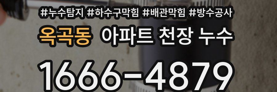 옥곡동 아파트 천장 누수