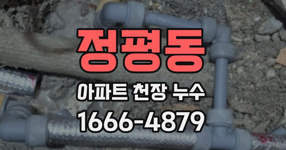 정평동 아파트 천장 누수