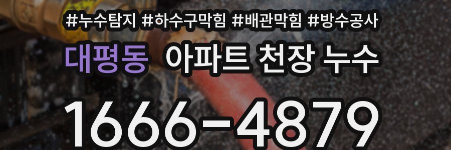 대평동 아파트 천장 누수