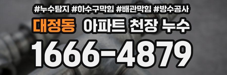 대정동 아파트 천장 누수