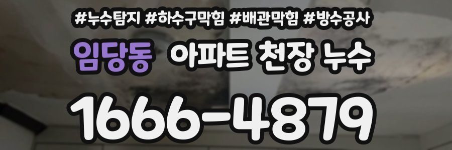 임당동 아파트 천장 누수