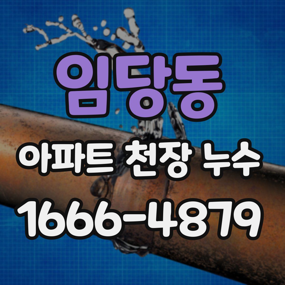 임당동 아파트 천장 누수