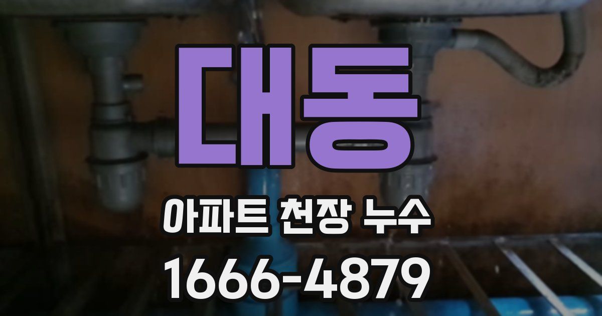 대동 아파트 천장 누수