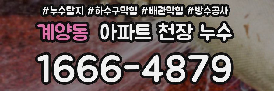 계양동 아파트 천장 누수