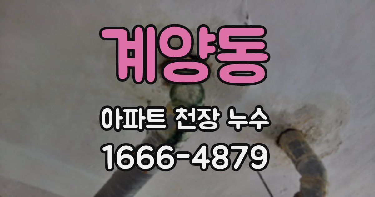 계양동 아파트 천장 누수