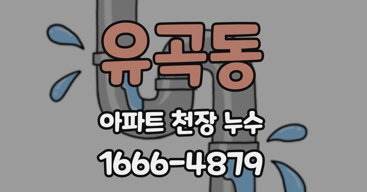 유곡동 아파트 천장 누수