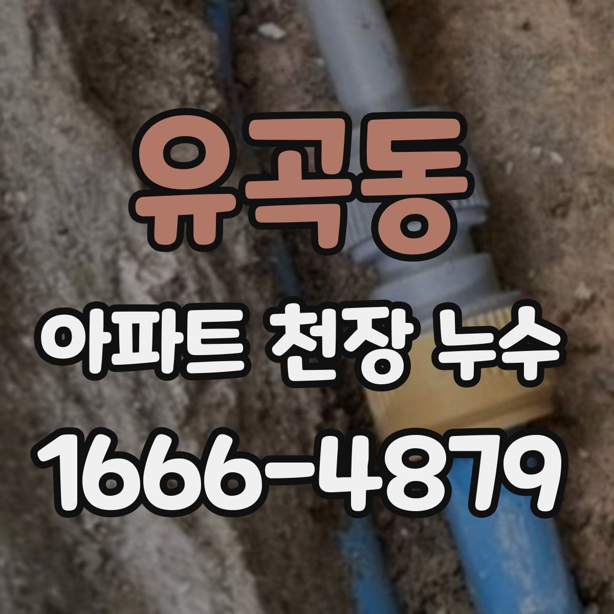 유곡동 아파트 천장 누수