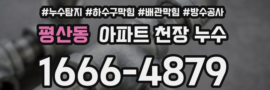 평산동 아파트 천장 누수