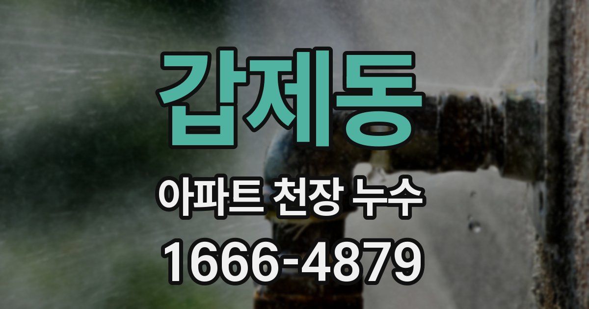 갑제동 아파트 천장 누수